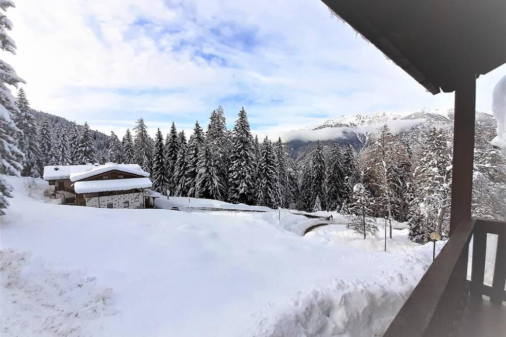 Dream House Quadrifoglio. Sulle Piste Di Folgarida,Madonna Di Campiglio. 아파트 외부 사진